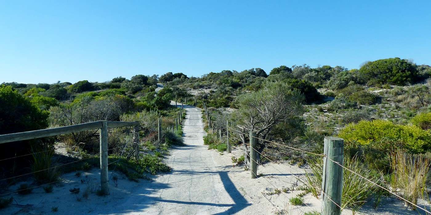 Sandy beach path between Tennyson Dunes Conservation Reserve